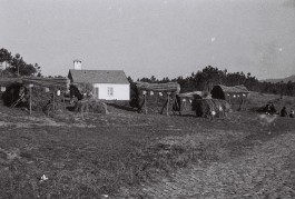 BOCA DE SAL