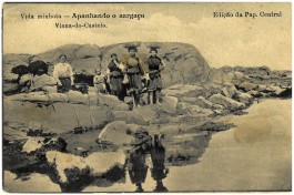 BOCA DE SAL