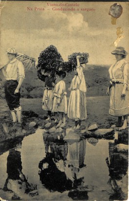 BOCA DE SAL