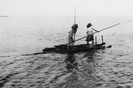 BOCA DE SAL