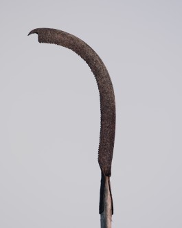 BOCA DE SAL