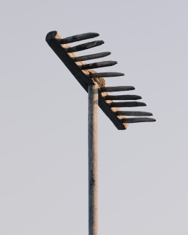 BOCA DE SAL