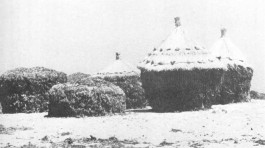 BOCA DE SAL