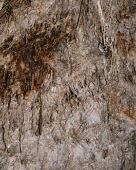 BOCA DE SAL