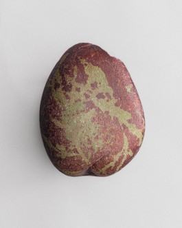 BOCA DE SAL