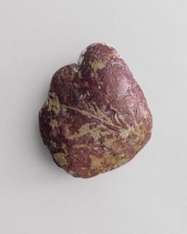 BOCA DE SAL