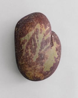 BOCA DE SAL