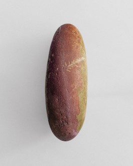 BOCA DE SAL