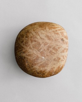 BOCA DE SAL