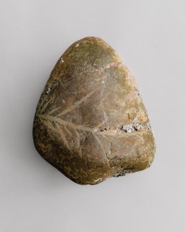 BOCA DE SAL