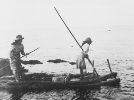 BOCA DE SAL