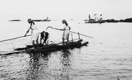 BOCA DE SAL