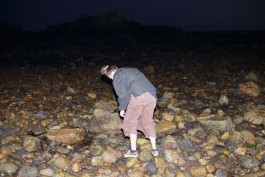 BOCA DE SAL