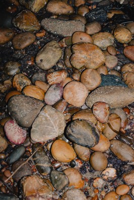 BOCA DE SAL