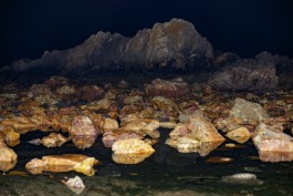 BOCA DE SAL