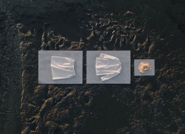 BOCA DE SAL — ARQUIVO EXPANDIDO
