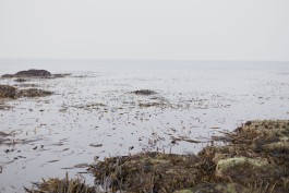 BOCA DE SAL — ARQUIVO EXPANDIDO