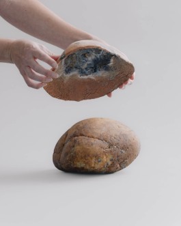 BOCA DE SAL — ARQUIVO EXPANDIDO