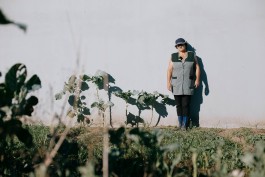 BOCA DE SAL — ARQUIVO EXPANDIDO